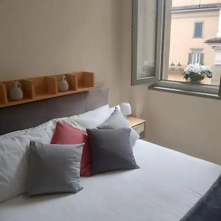 Coccinella *